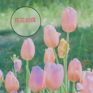 我在说话，你听到了吗？