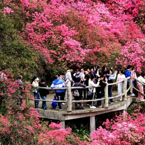 Xinhua｜清明假期亮点纷呈，彰显经济活力