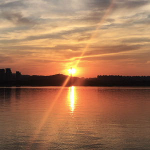 S4E103 Music Sets 光阴向太阳