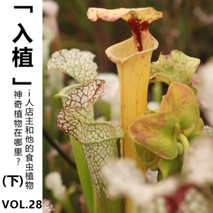 Vol.28【入植】神奇植物在哪里？i人店主和他的食虫植物(下)