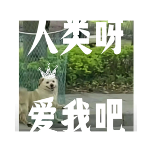 流浪的生命，人类和宠物的宿命，真的无解吗？