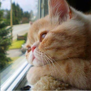 EP10 ｜ 「梦道」这是真的还是假的，还值不值得继续等待