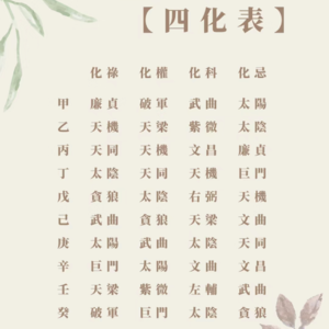 语焉不详 018｜廉贞化忌，来做法律吧