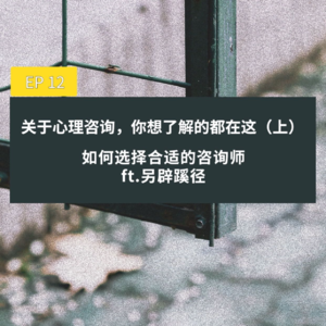 12. 关于心理咨询，你想了解的都在这（上） ：如何选择合适的咨询师 ft.另辟蹊径
