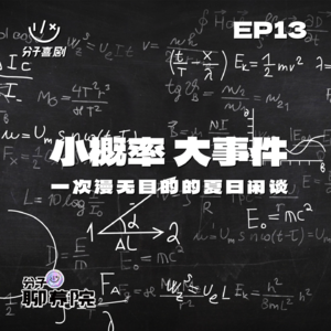 EP13 小概率大事件——一次漫无目的的夏日闲谈