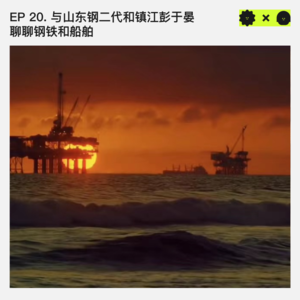 #20 与山东钢二代和镇江彭于晏聊聊钢铁和船舶