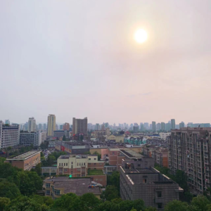 被一只蜜蜂尾随进入夏天