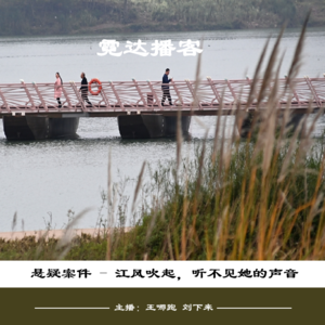 41. 江风吹起，没人听见她的声音