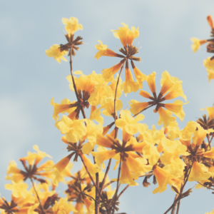 #EP 13 QE Channel 感受宇宙灵动能量