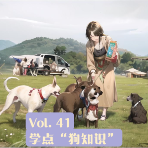 Vol.41 对话训犬师Morning:人狗关系紧张,是不是无解了?