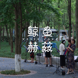 Vol.113 我们对声音的依赖，可能被低估了