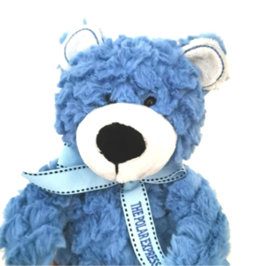 Blue Bear - 把握好自己的人生时间线 不要被别人左右