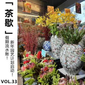 Vol.33 假期流水账!新年园艺计划启动!