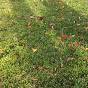 穷乡僻壤神仙多，俺们屯子有风神？