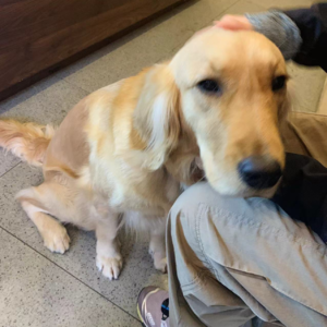 偶尔卡顿一下,再继续播放