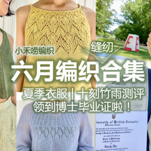 六月编织合集：夏季衣服 | 十刻竹雨测评 | 领到博士毕业证啦！【小禾唠编织2023.06】