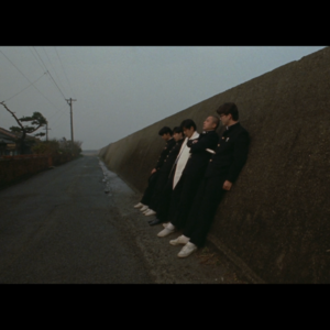 电影失去了欲望 XXI 青春摇滚