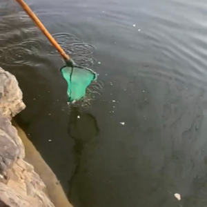 N1.社交软件观察报告：和5个猛男大胆聊爱情！