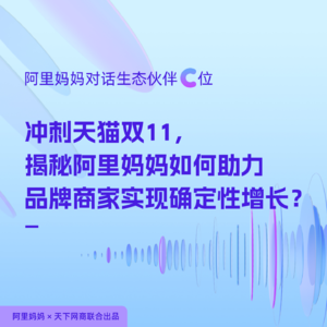 VOL.10 冲刺天猫双11，揭秘阿里妈妈如何助力品牌商家实现确定性增长？