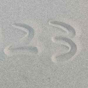 vol.4  当我在面对跨年的时候我在想什么