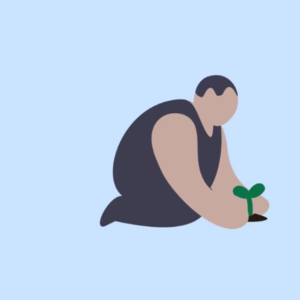 No.1 零基础小白理财入门课