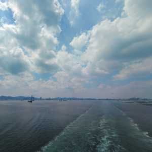 15.【玄】医学的尽头是玄学，玄学的尽头挤满了医疗工作者！