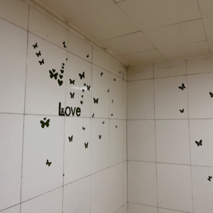 被云挡住了，但还是最亮的一颗星星。