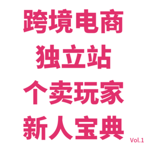 Vol.1跨境电商独立站新手全流程讲解！从3个月不出单到单周10000R+亲历者，10大步骤15大坑点一次讲清楚！（上）