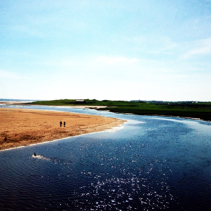 海子的爱情和那一记耳光
