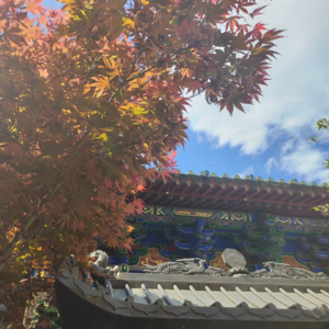 Vol.04 外应，灵感天才的专用占卜法