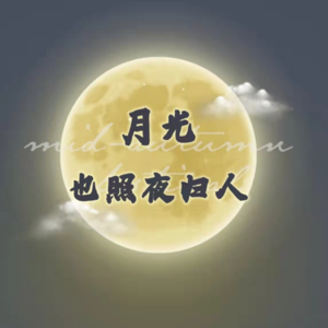 Vol.3 月光也照夜归人