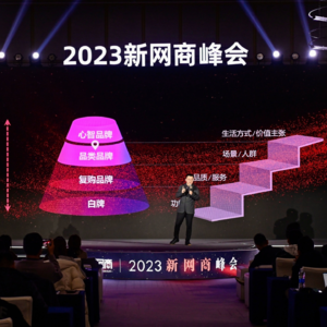 Vol 16.对话百位商家后,我总结出一个品牌高增长模型