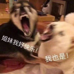 ep19. E人和E人也不是一种人！｜mbti真不是什么生命密码啊！