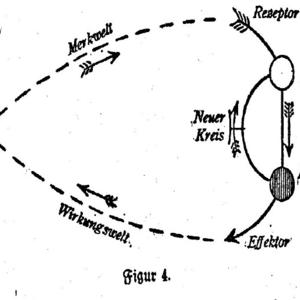 055. 不知与无知：边界的问题