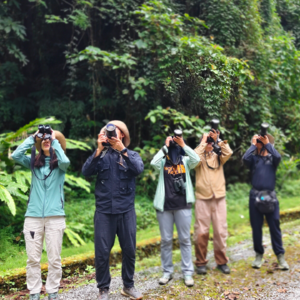 Vol.002 我们在中缅边境…观鸟!(上)