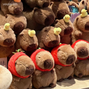 025 公主请接梗:一身班味儿的我,该如何靠近自由的你