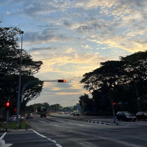 Vol.4 狮城年轻人生活（上）