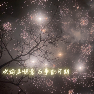 [第000期]新年企划：To Do list该写还得写，做不做再说