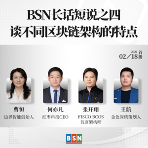 BSN长话短说之四：谈不同区块链架构的特点