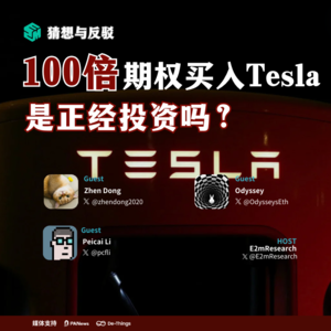 100倍期权买入Tesla是正经投资吗