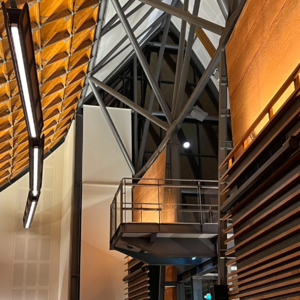 E06. 澳洲舞会历险记 - 为4年前土土的自己复仇！