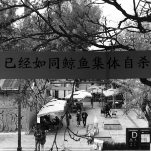 寥聊 「LL」—— 1 7 9 8