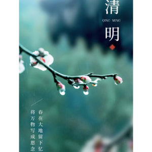 清明节祭扫流程与注意事项