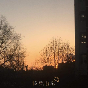 005|考研不过梦一场!