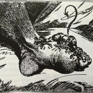 27.【科普】国王的疾病