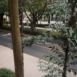 Ep91 李煜应该是最适合做个播客的词人