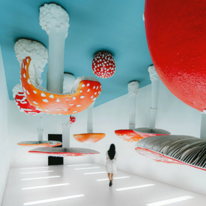 EP35丨梦到前世,也许是因为你刚刚亲自去了一趟