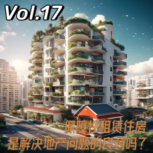 Vol.17 保障性租赁住房，是解决地产问题的良药吗？