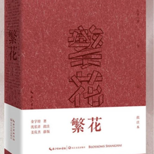 vol.011 人不响 天晓得 -《繁花》