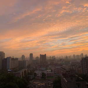 被言语忽然拉近的时刻